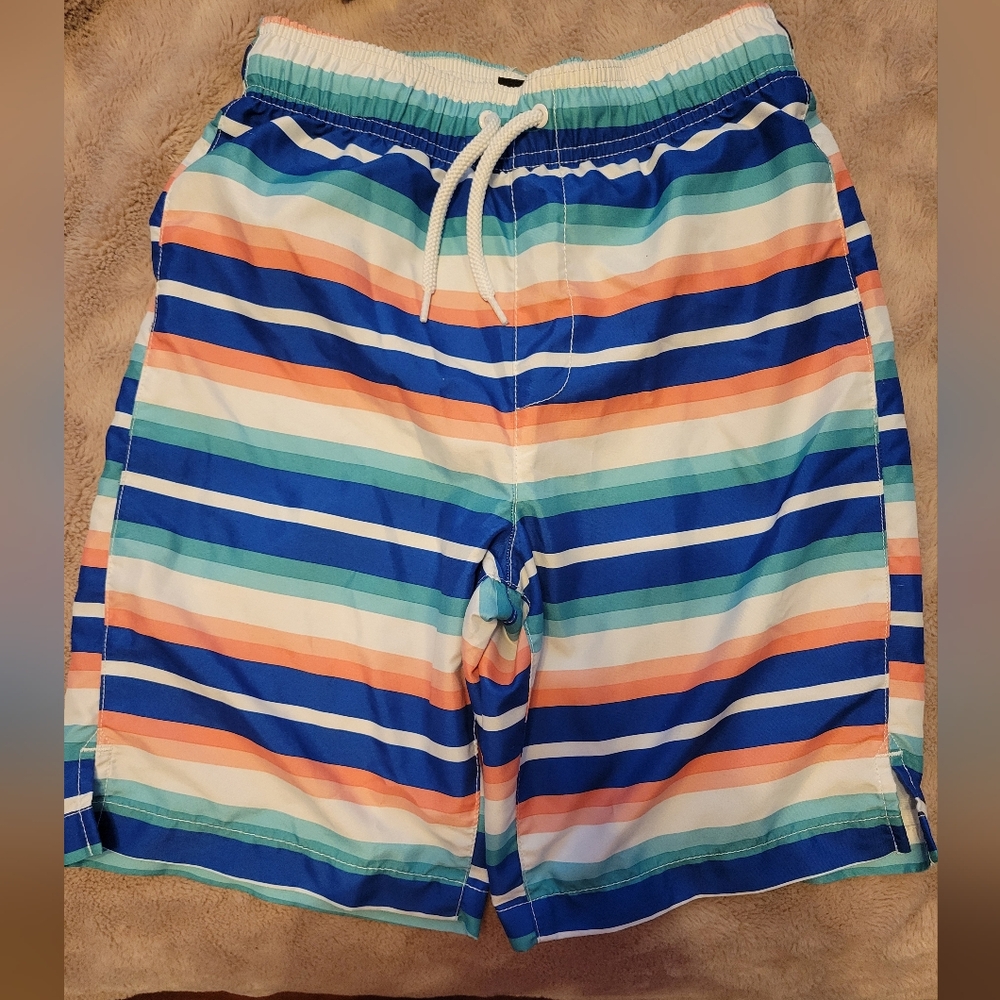 Colorful Striped Swim Shorts